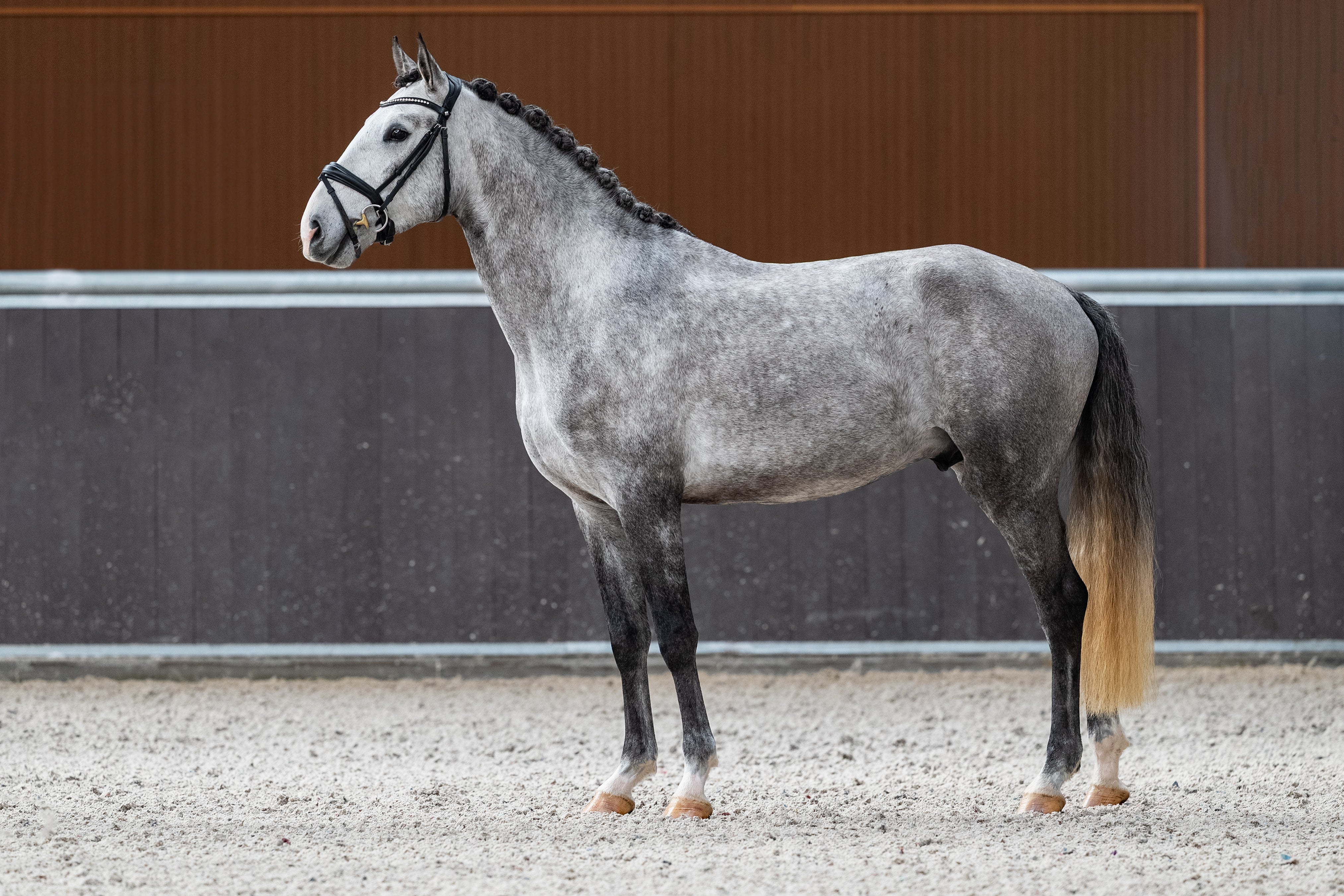 Mantovani's Regal De La Gesse
