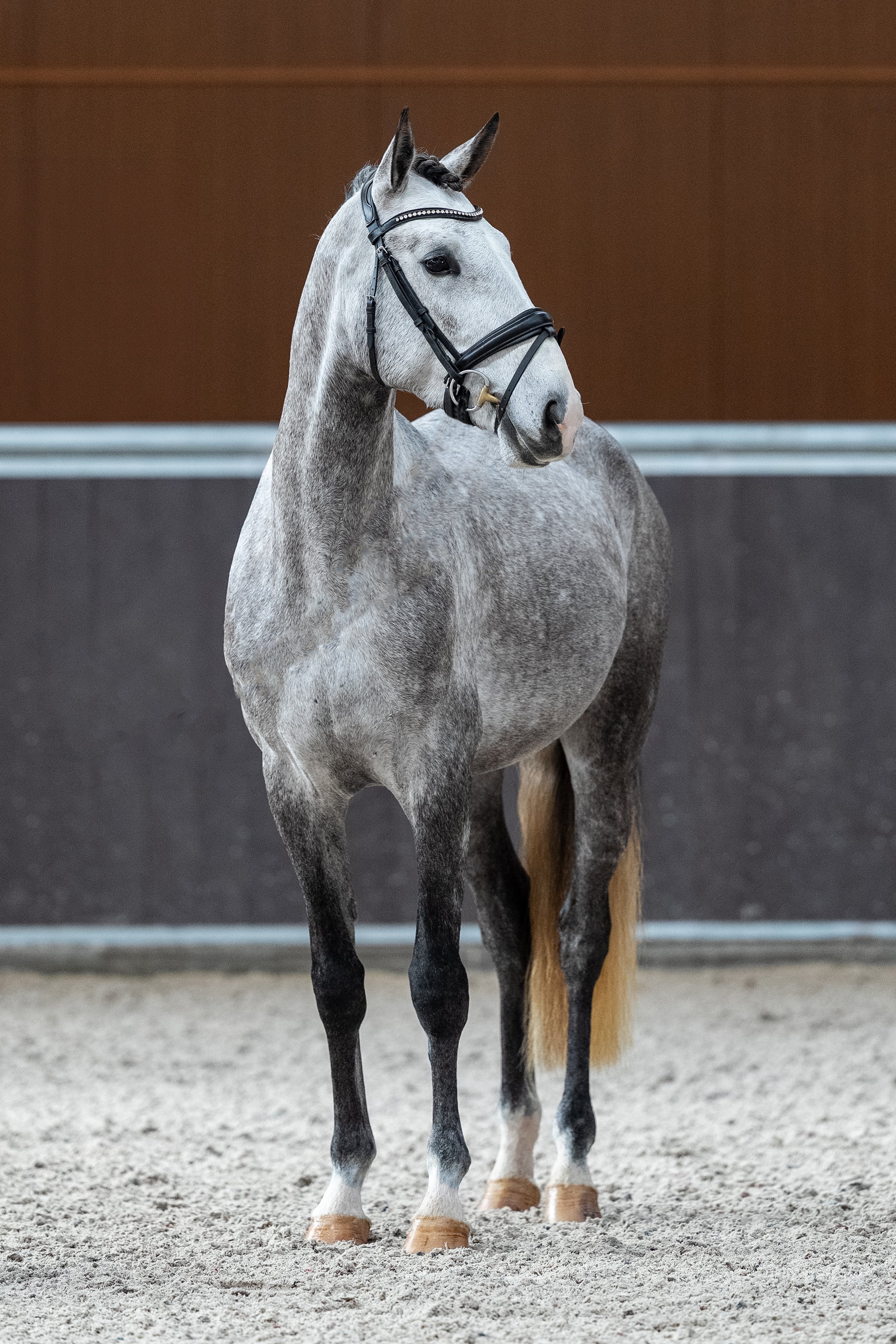 Mantovani's Regal De La Gesse