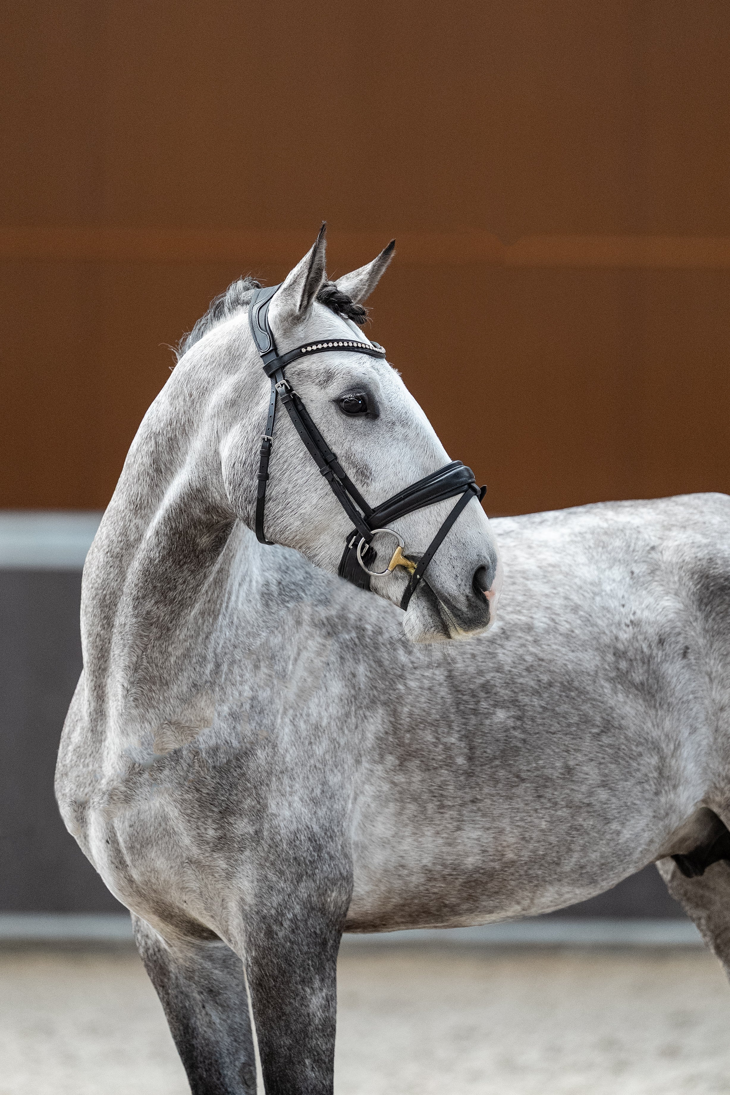 Mantovani's Regal De La Gesse