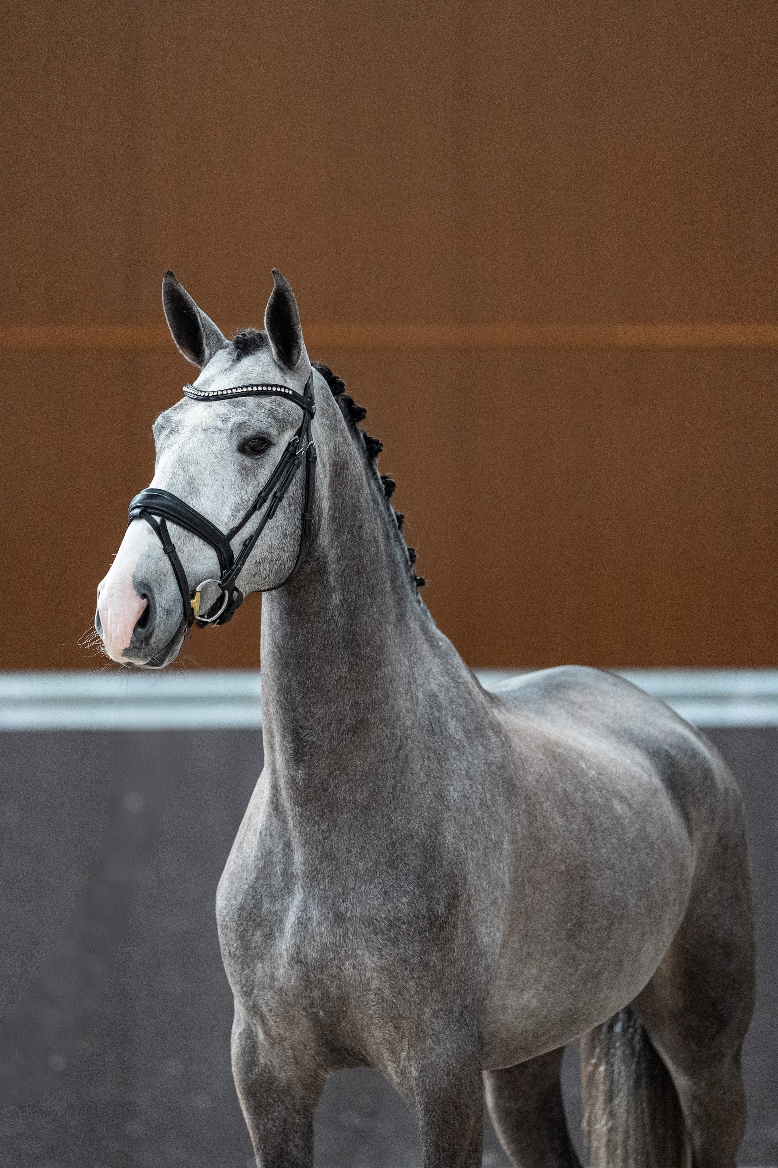 Mantovani's Rolex De La Gesse