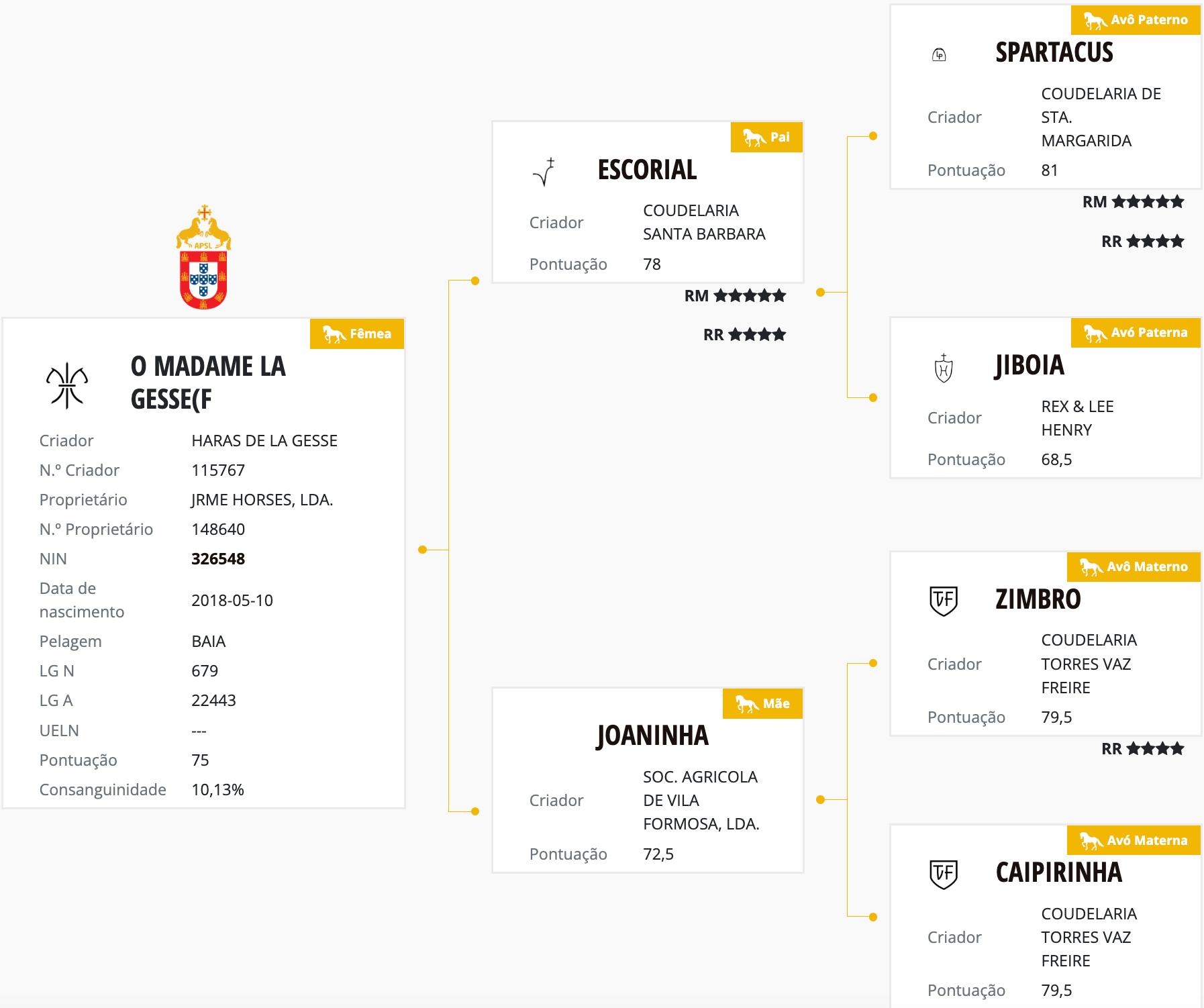 O Madame (Escorial x Joaninha)