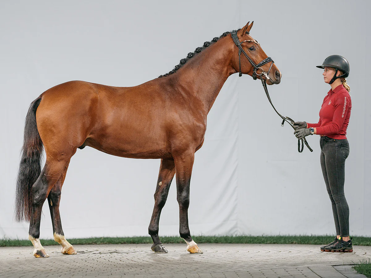 40_184_Vaderland_-_Floriscount-08835_fcp1