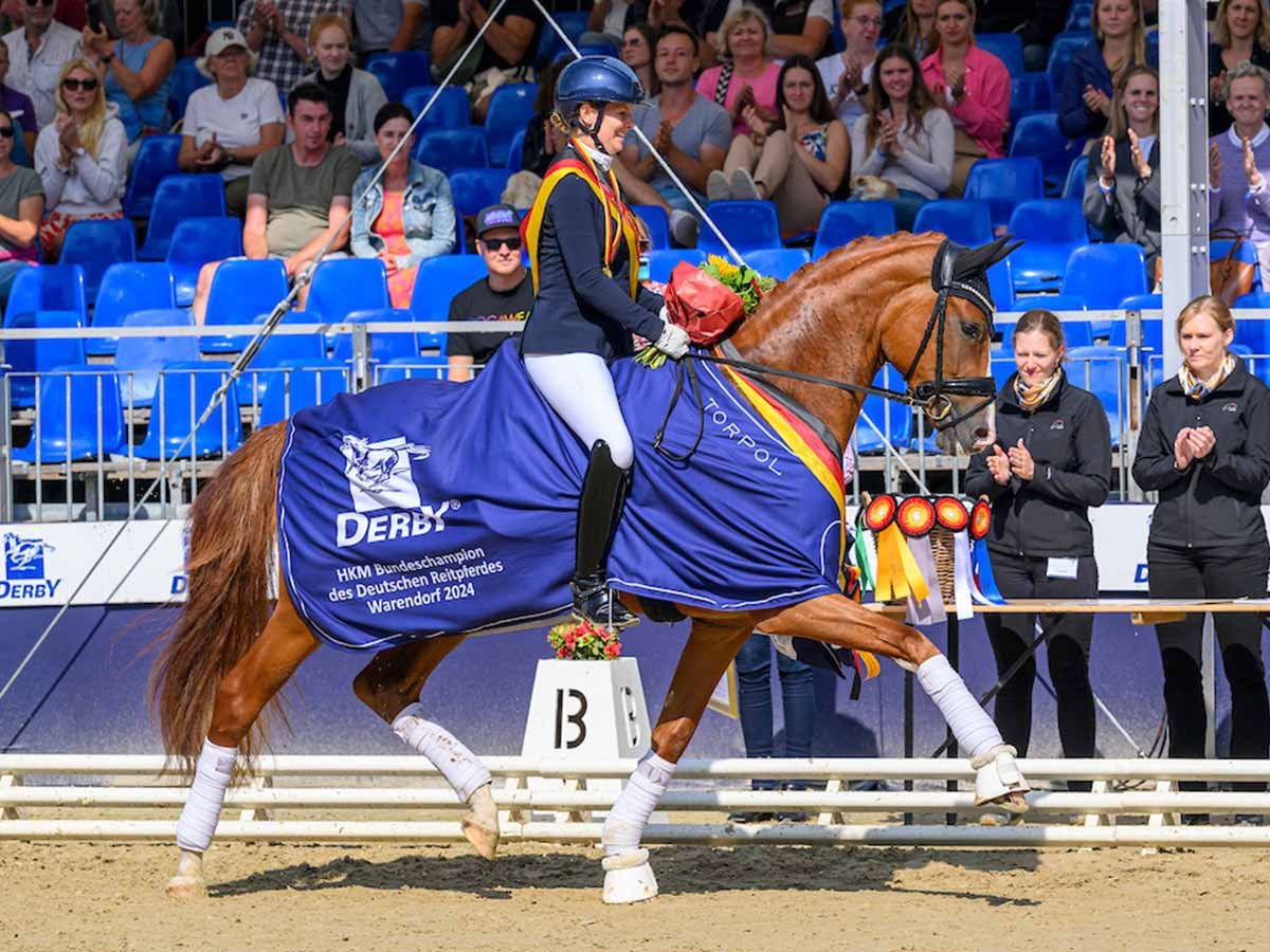 lot-image_1725913312484_png