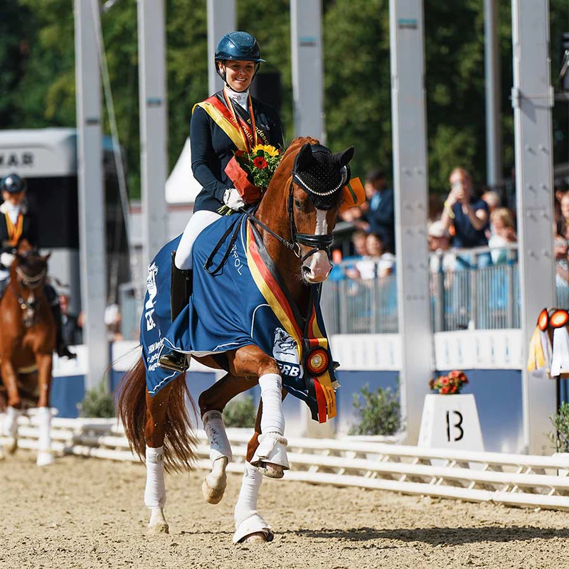 lot-image_1725913325756_png