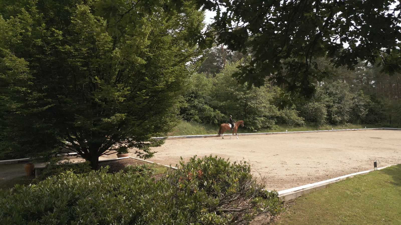 Outside Dressage Arena