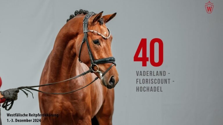 Reitpferdekörung 2024 Katnr