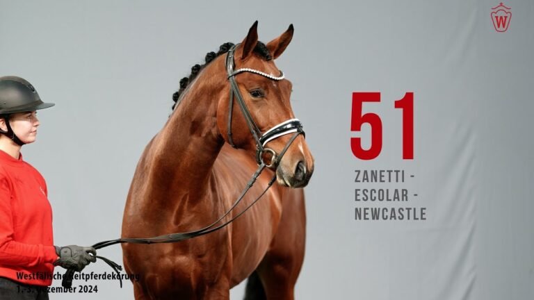 Reitpferdekörung 2024 Katnr