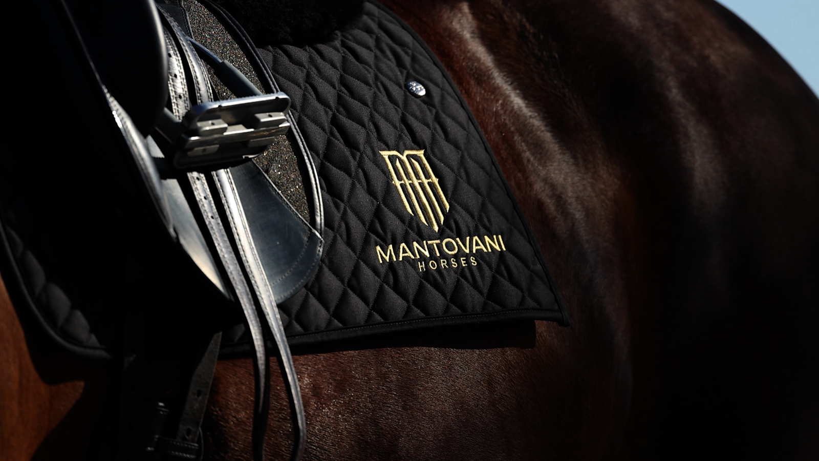 Tubman Mantovani USA